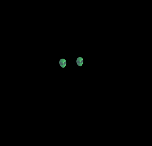 Kang